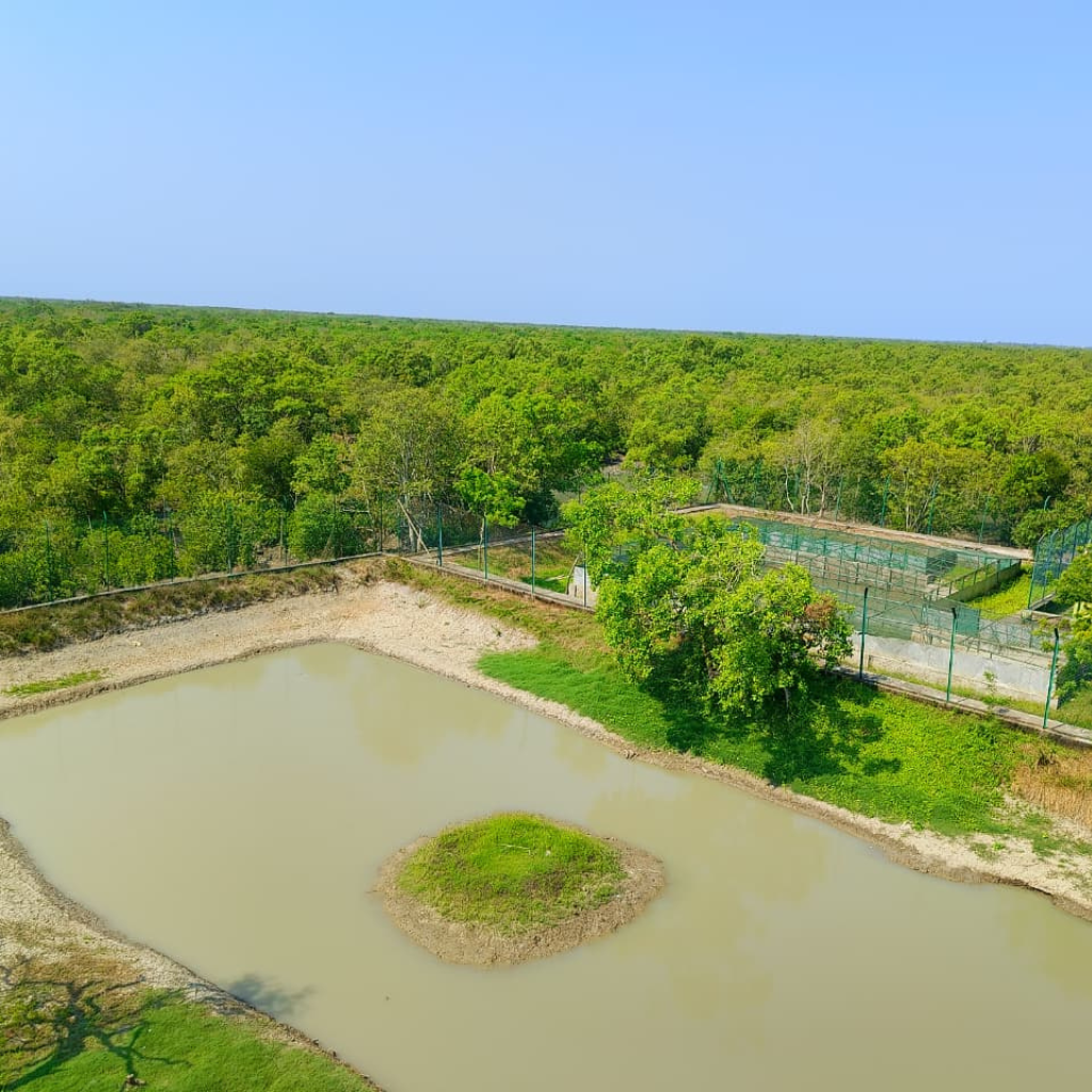 Sundarban Mangrove